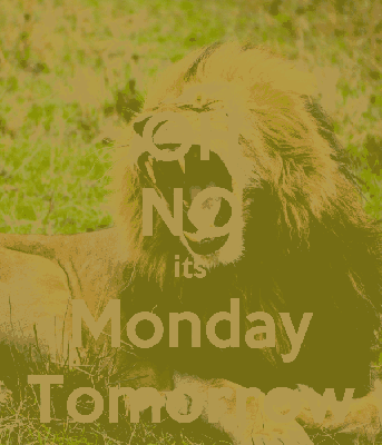 Lew jutro poniedziałek